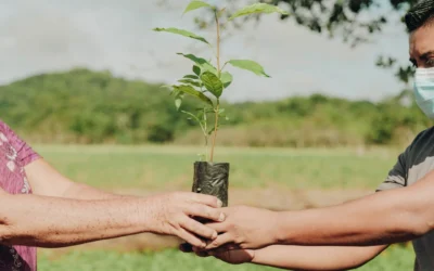 Impronte è green!